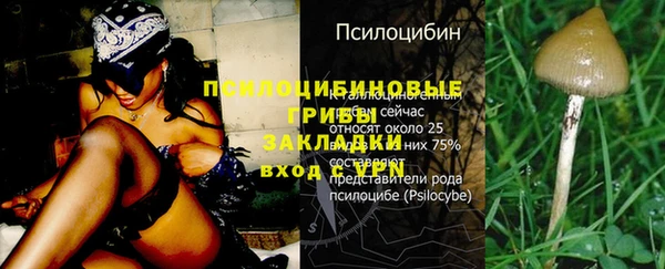 ECSTASY Абдулино