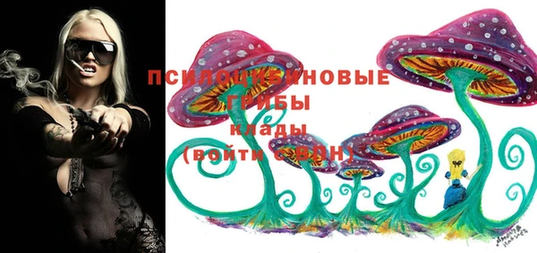 герыч Алексин