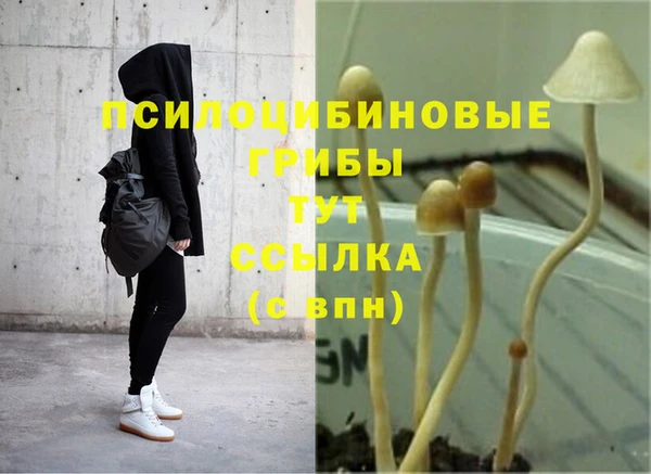 метадон Алзамай