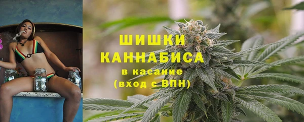 дживик Козельск